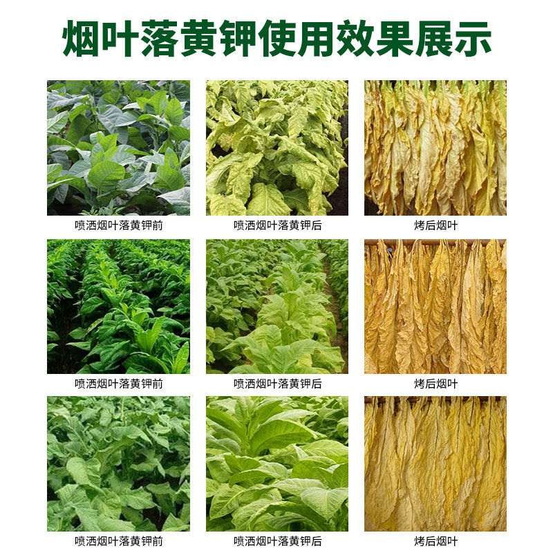 云南玉溪特产专门网